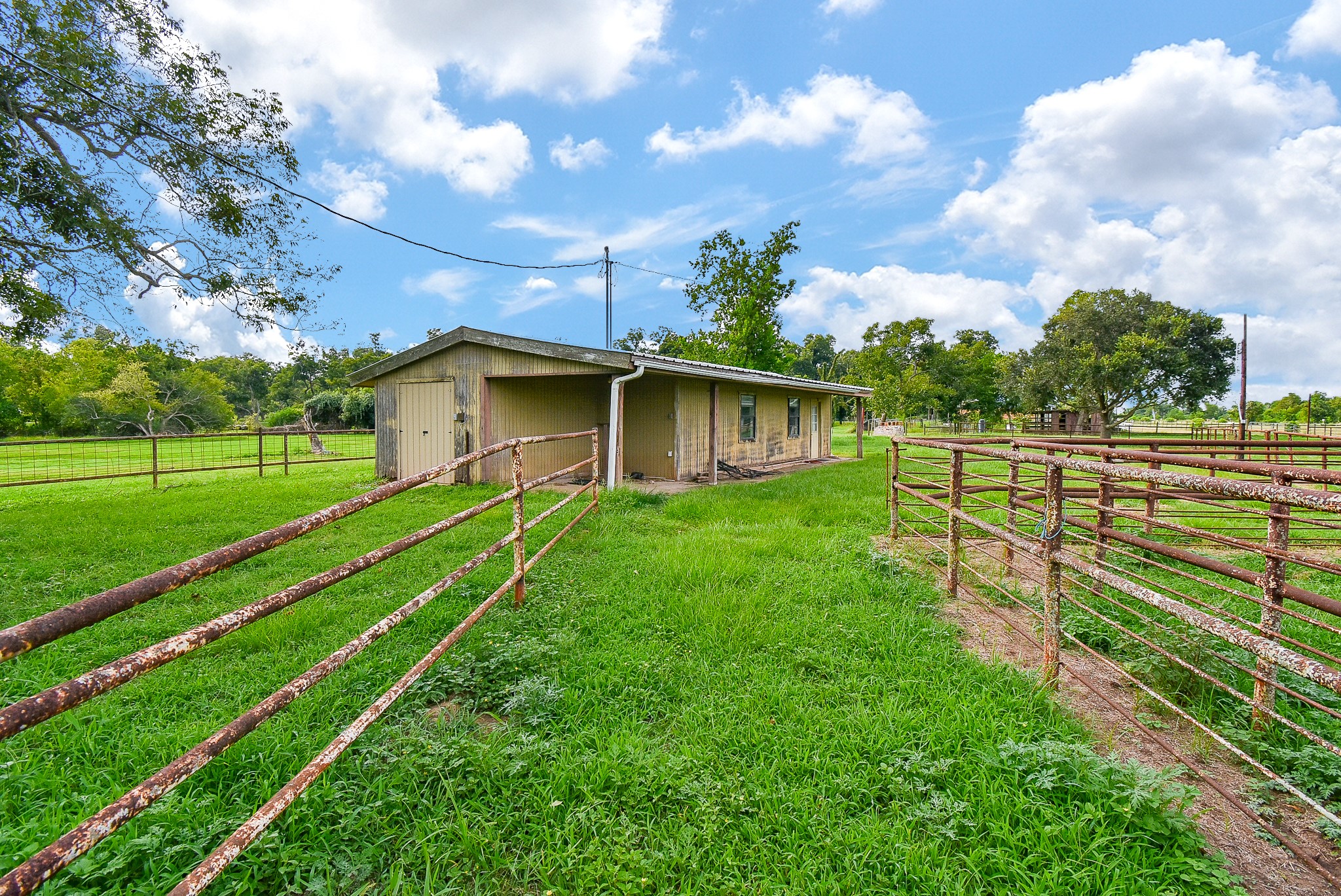 3818 County Road 36 Angleton, TX 77515 - Photo 47 of 49 a view of a house with a yard