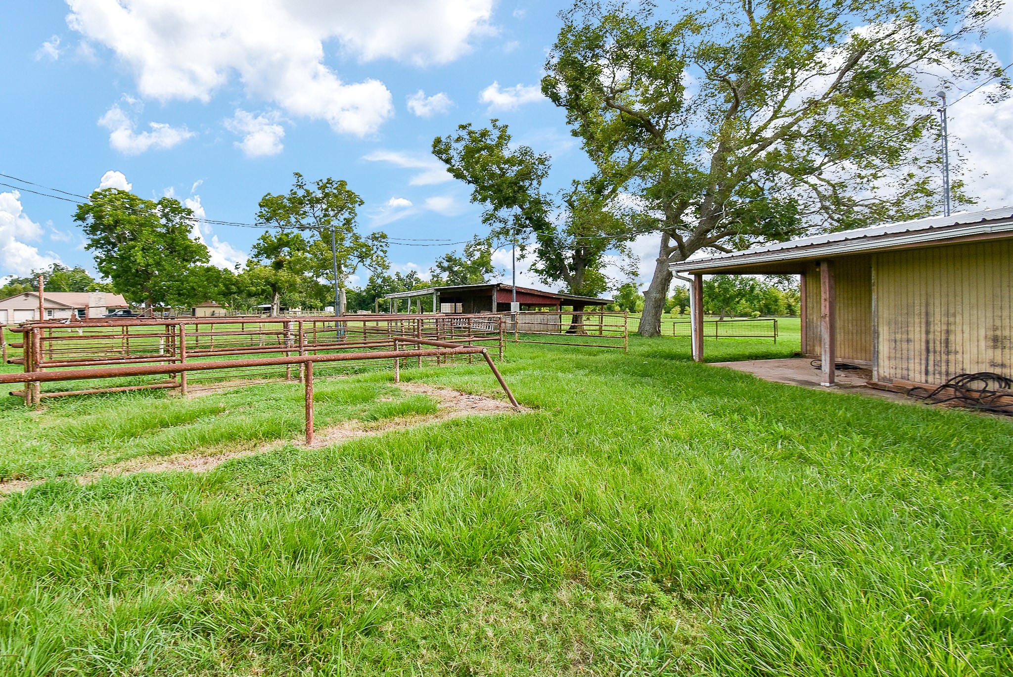 3818 County Road 36 Angleton, TX 77515 - Photo 48 of 49 a view of a park with a large tree