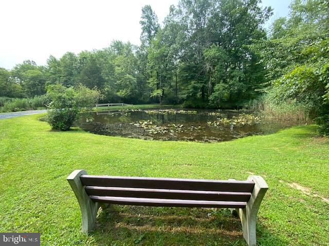 906 West Thatcher Road, Unit 191 Quakertown, PA 18951 - Photo 5 of 30