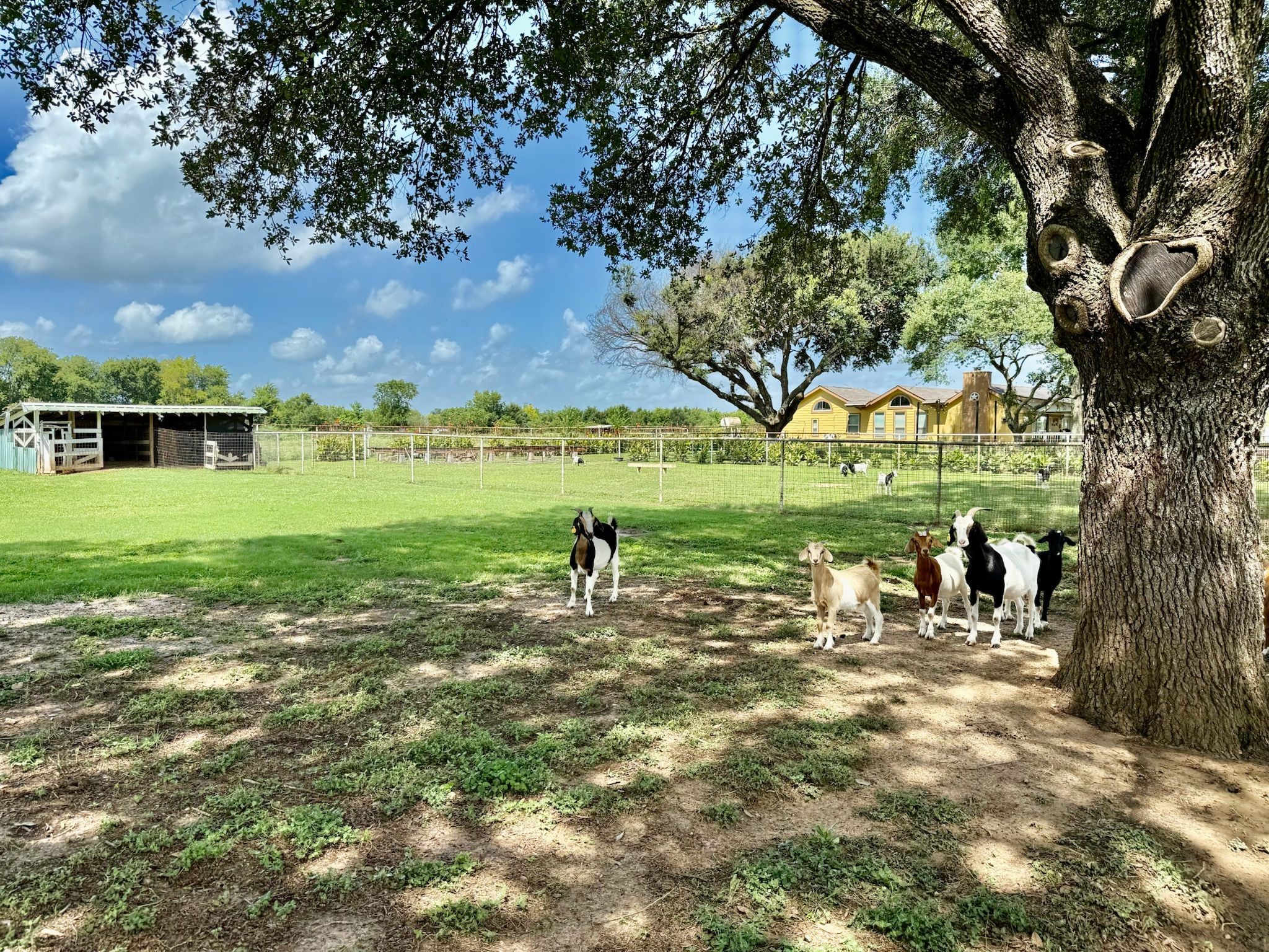 37110 Donigan Road Brookshire, TX 77423 - Photo 17 of 43 a view of a lake with a yard