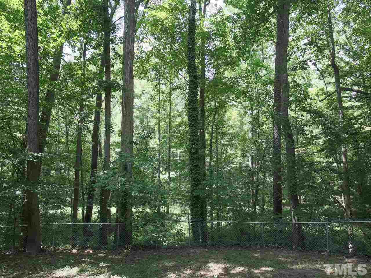 1112 Mockingbird Drive Raleigh, NC 27615 - Photo 18 of 18