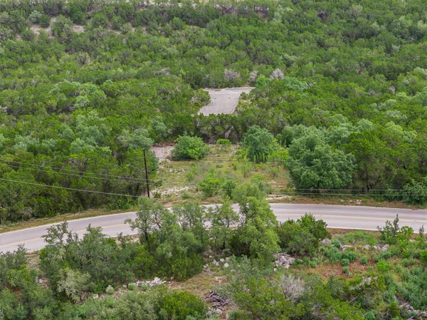 a view of a forest