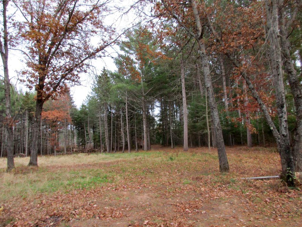 3728 Pine Square Road Tomahawk, WI 54487 - Photo 42 of 71 Gallery Image 42