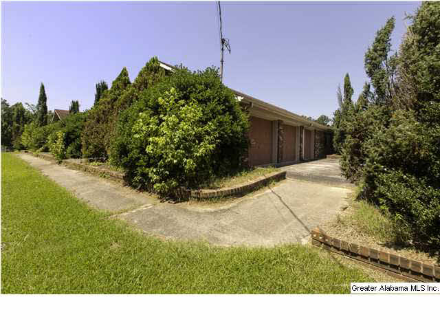 3706 Mt Olive Road Mount Olive, AL 35117 - Photo 2 of 20