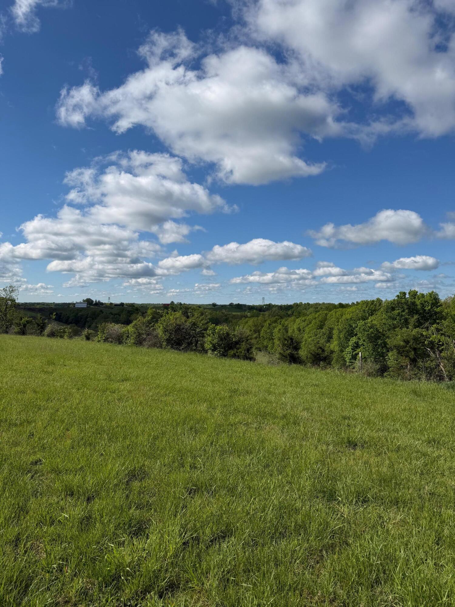 14.17-ac Chipman Ridge Road Williamstown, KY 41097 - Photo 13 of 18