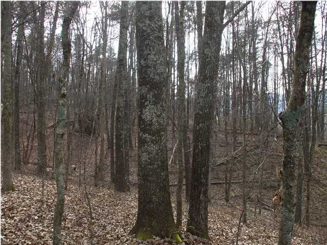 10208 Card Road, Unit LOT A Soddy Daisy, TN 37379 - Photo 3 of 6 Additional Photo
