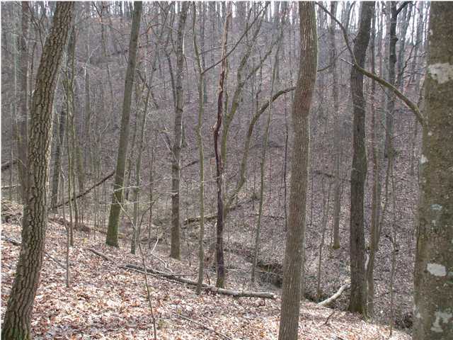10208 Card Road, Unit LOT A Soddy Daisy, TN 37379 - Photo 4 of 6 Additional Photo