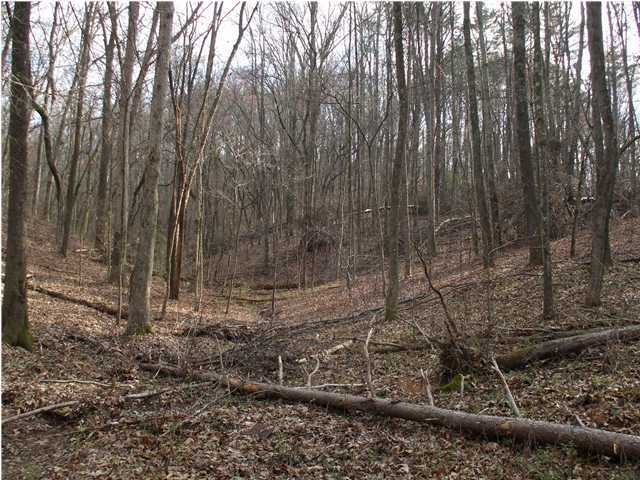 10208 Card Road, Unit LOT A Soddy Daisy, TN 37379 - Photo 5 of 6 Additional Photo