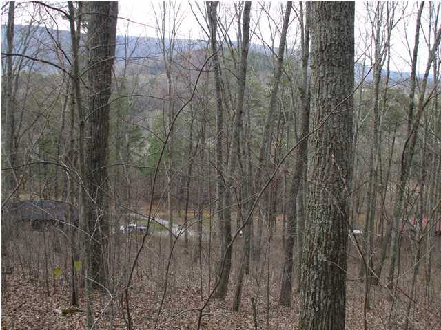 10208 Card Road, Unit LOT A Soddy Daisy, TN 37379 - Photo 6 of 6 Additional Photo