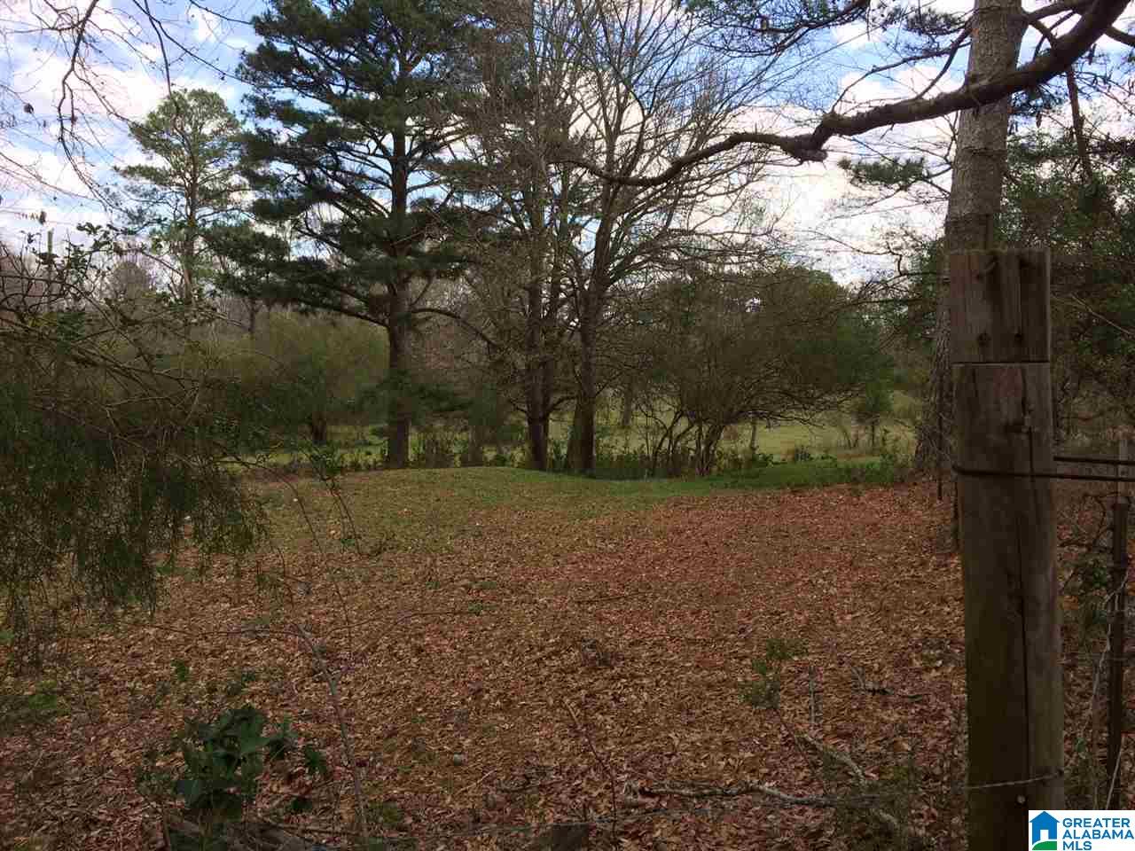 769 Chandler Mountain Road Steele, AL 35987 - Photo 35 of 41