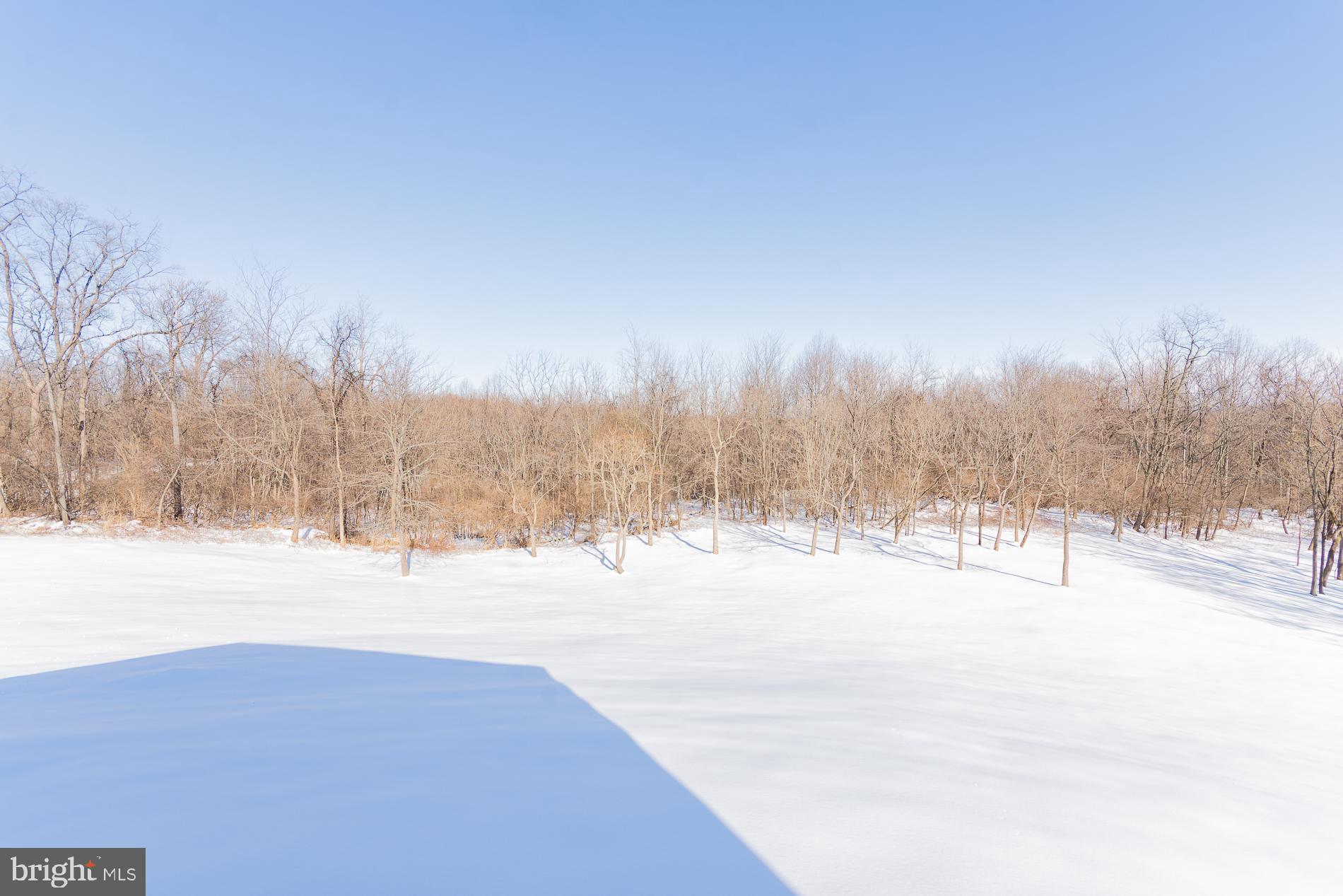 528 Delmar Orchard Road Martinsburg, WV 25403 - Photo 54 of 72 a view of ocean and trees