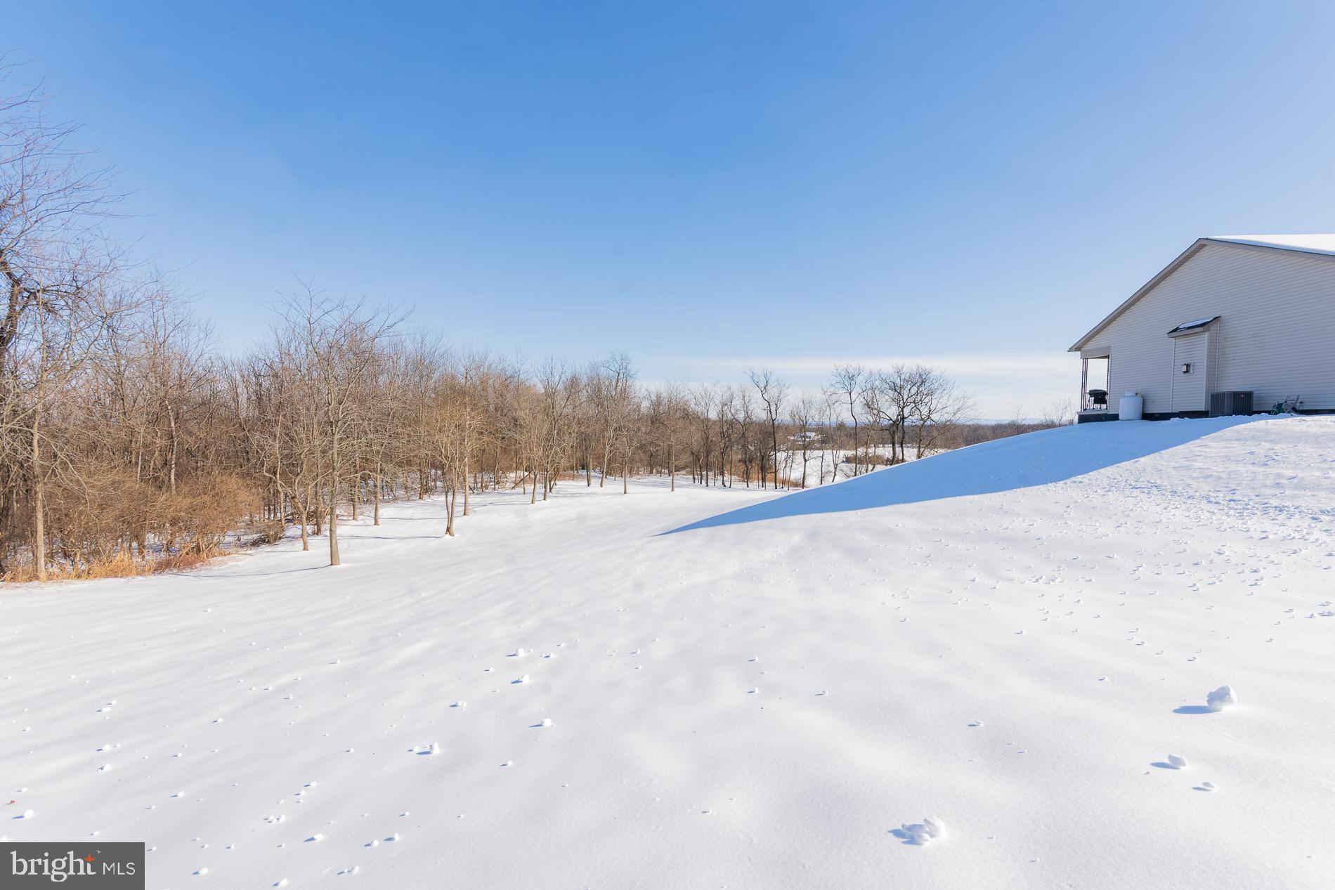528 Delmar Orchard Road Martinsburg, WV 25403 - Photo 56 of 72 a view of road and snow on the road