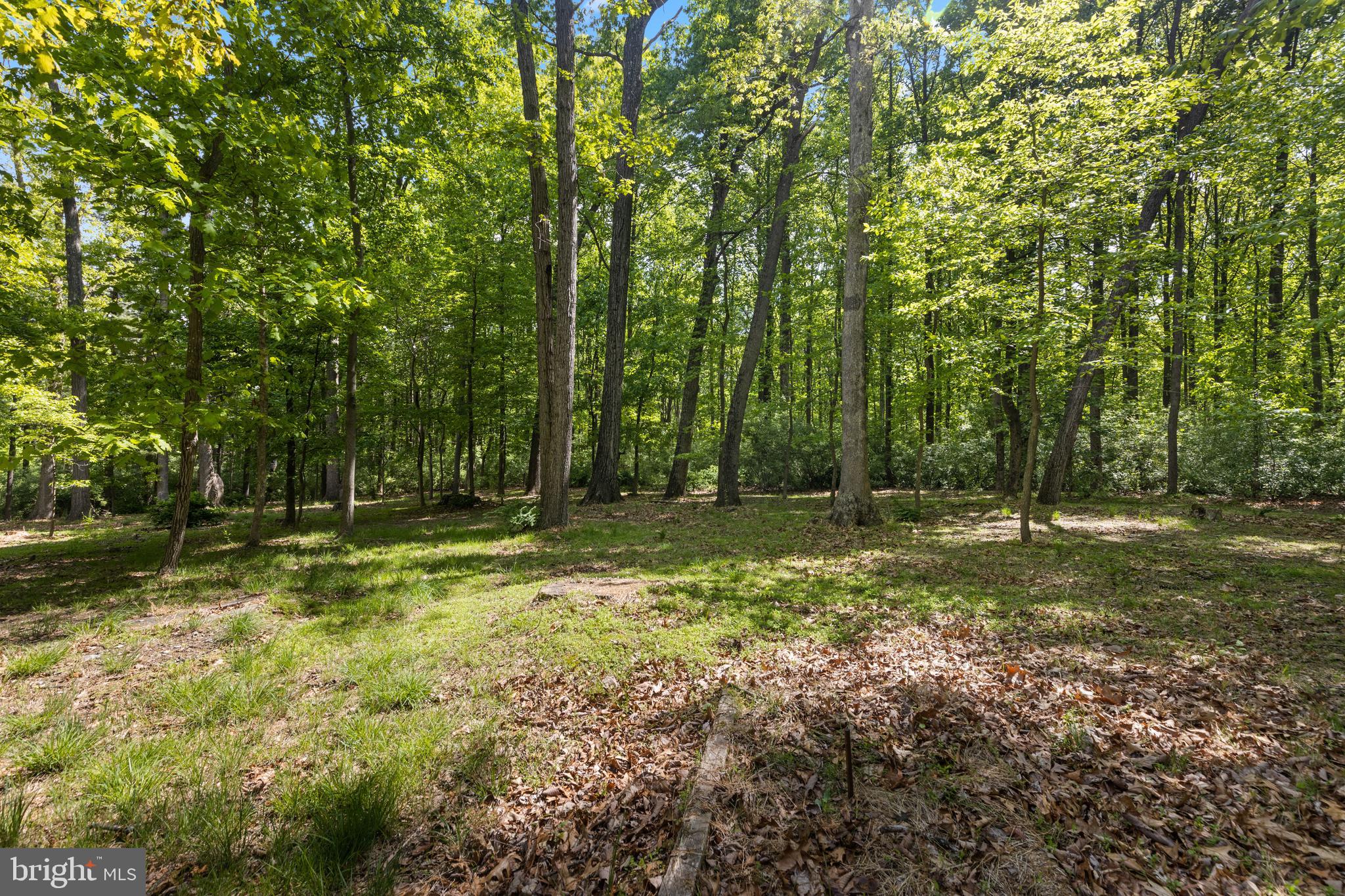 481 Oak Tree Road Westminster, MD 21157 - Photo 70 of 73