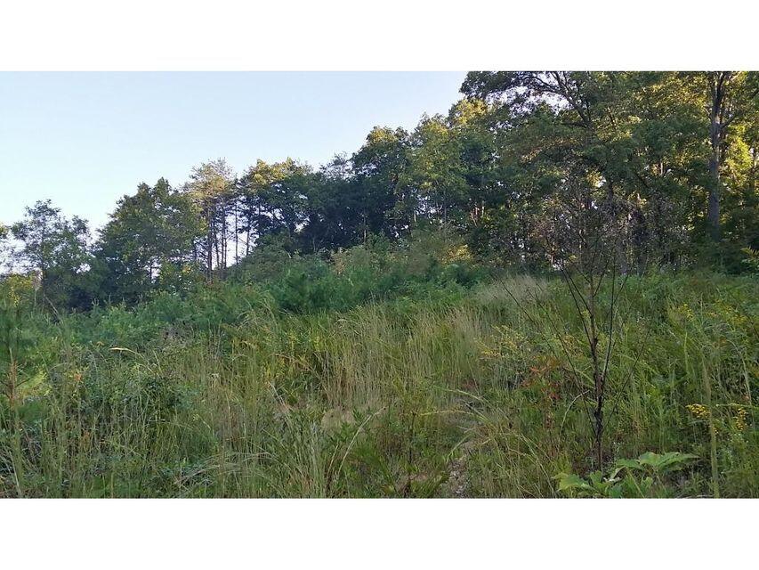 0 Southeast Honeycutt Road Rogersville, TN 37857 - Photo 11 of 30 Pic 10, Another View of Land