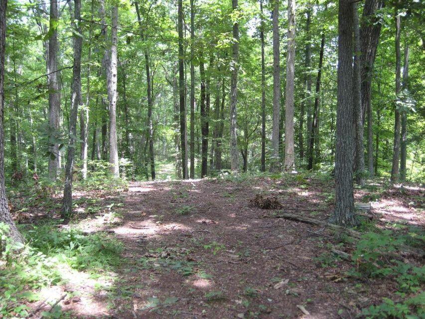 0 Southeast Honeycutt Road Rogersville, TN 37857 - Photo 19 of 30 Pic 18, Another view of road through the