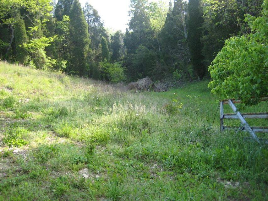 0 Southeast Honeycutt Road Rogersville, TN 37857 - Photo 20 of 30 pic 19, Another land view