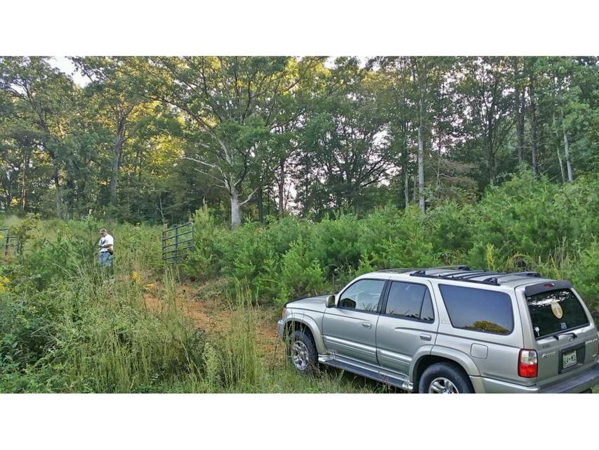 0 Southeast Honeycutt Road Rogersville, TN 37857 - Photo 21 of 30 Pic 20, View off Honeycutt Road