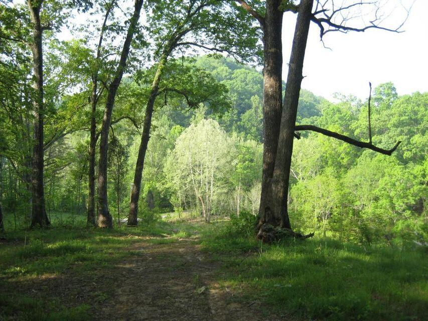 0 Southeast Honeycutt Road Rogersville, TN 37857 - Photo 22 of 30 Pic 21, Another View of Property