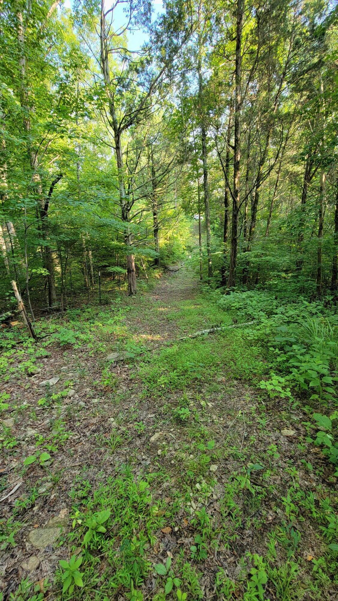 0 Southeast Honeycutt Road Rogersville, TN 37857 - Photo 25 of 30 Pic 24, View of Trail