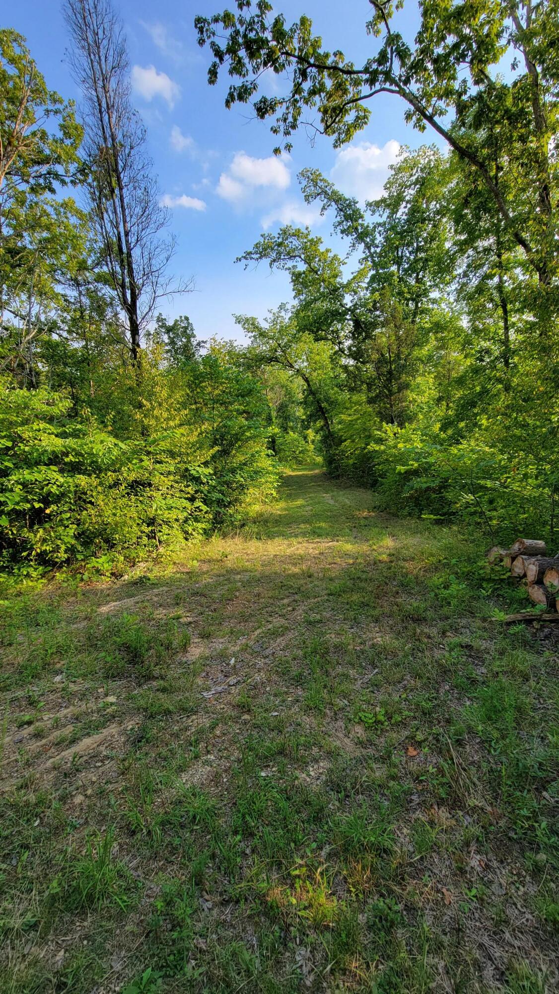 0 Southeast Honeycutt Road Rogersville, TN 37857 - Photo 27 of 30 Pic 27, Another Trail View