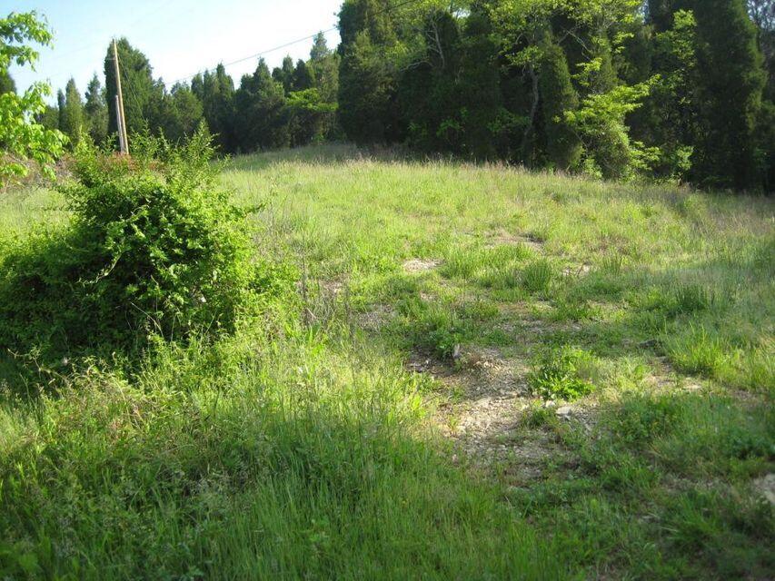 0 Southeast Honeycutt Road Rogersville, TN 37857 - Photo 3 of 30 Pic 3 Entry Road Onto the Property