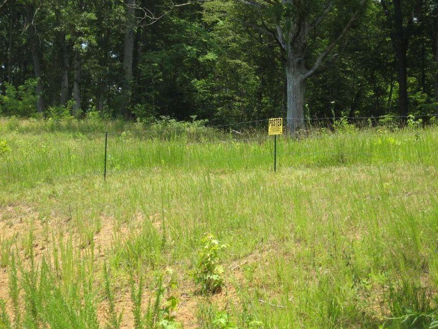 0 Southeast Honeycutt Road Rogersville, TN 37857 - Photo 4 of 30 Pic 4 Building Site