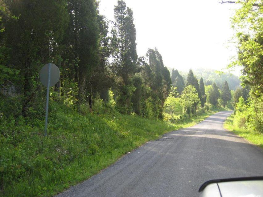0 Southeast Honeycutt Road Rogersville, TN 37857 - Photo 8 of 30 Pic 7, 1790' of road frontage on Honeycu