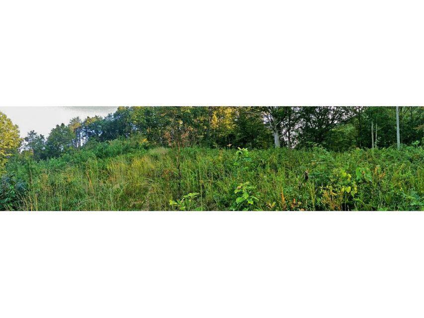 0 Southeast Honeycutt Road Rogersville, TN 37857 - Photo 9 of 30 Pic 8, Another view of land
