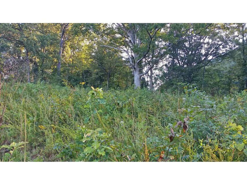 0 Southeast Honeycutt Road Rogersville, TN 37857 - Photo 10 of 30 Pic 9, Another View of Land