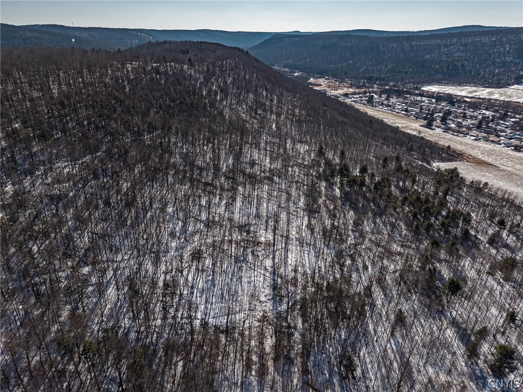 414 Nys Route Beaver Dams, NY 14812 - Photo 12 of 33