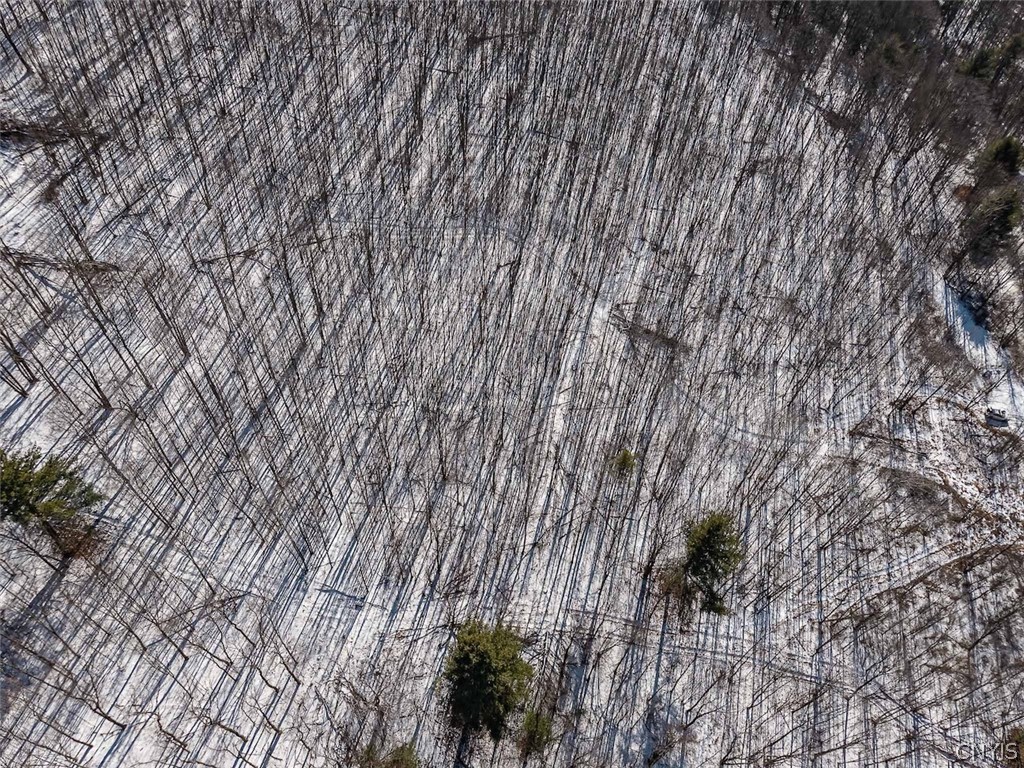 414 Nys Route Beaver Dams, NY 14812 - Photo 13 of 33