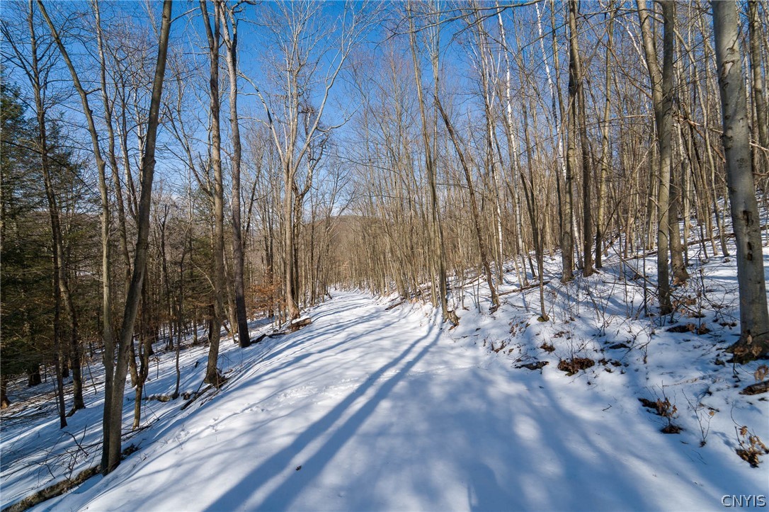 414 Nys Route Beaver Dams, NY 14812 - Photo 14 of 33