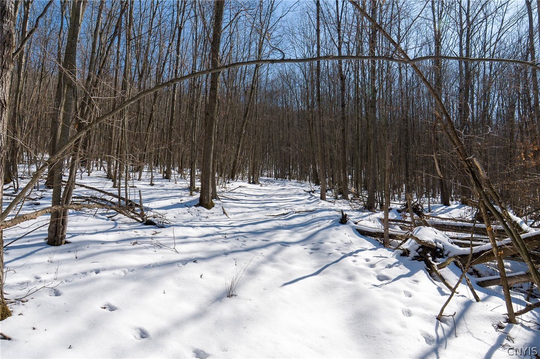 414 Nys Route Beaver Dams, NY 14812 - Photo 15 of 33