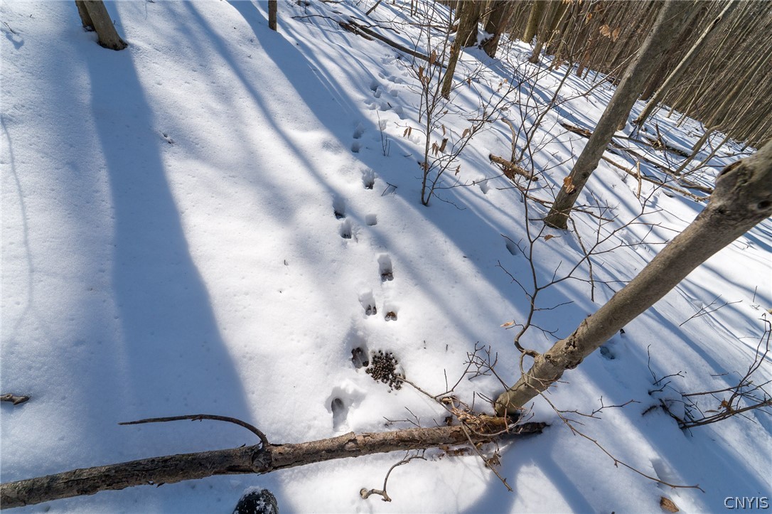414 Nys Route Beaver Dams, NY 14812 - Photo 16 of 33