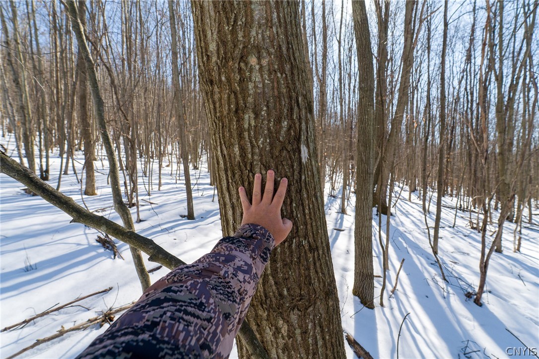 414 Nys Route Beaver Dams, NY 14812 - Photo 20 of 33