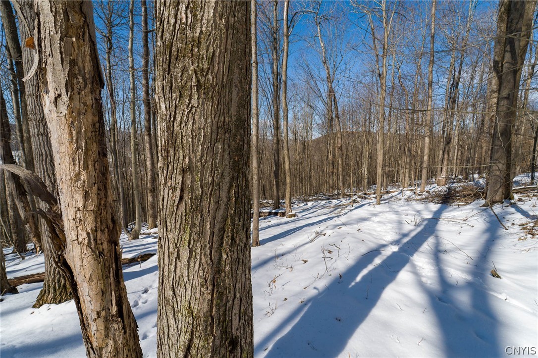 414 Nys Route Beaver Dams, NY 14812 - Photo 2 of 33