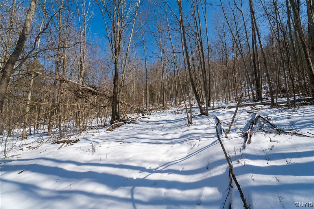 414 Nys Route Beaver Dams, NY 14812 - Photo 21 of 33