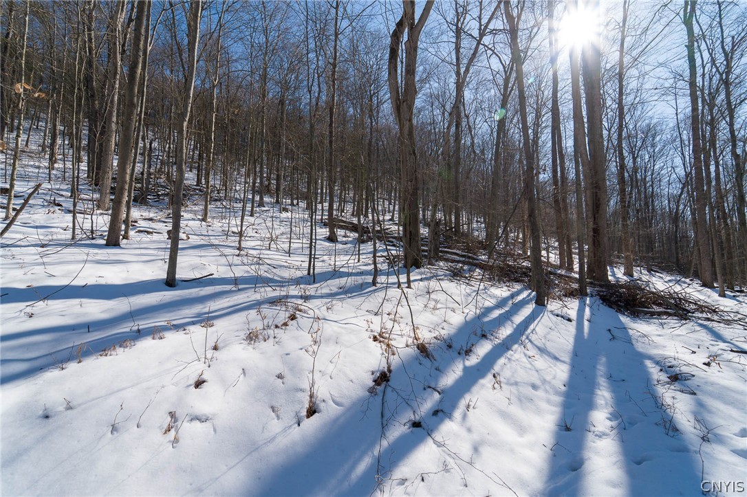 414 Nys Route Beaver Dams, NY 14812 - Photo 22 of 33