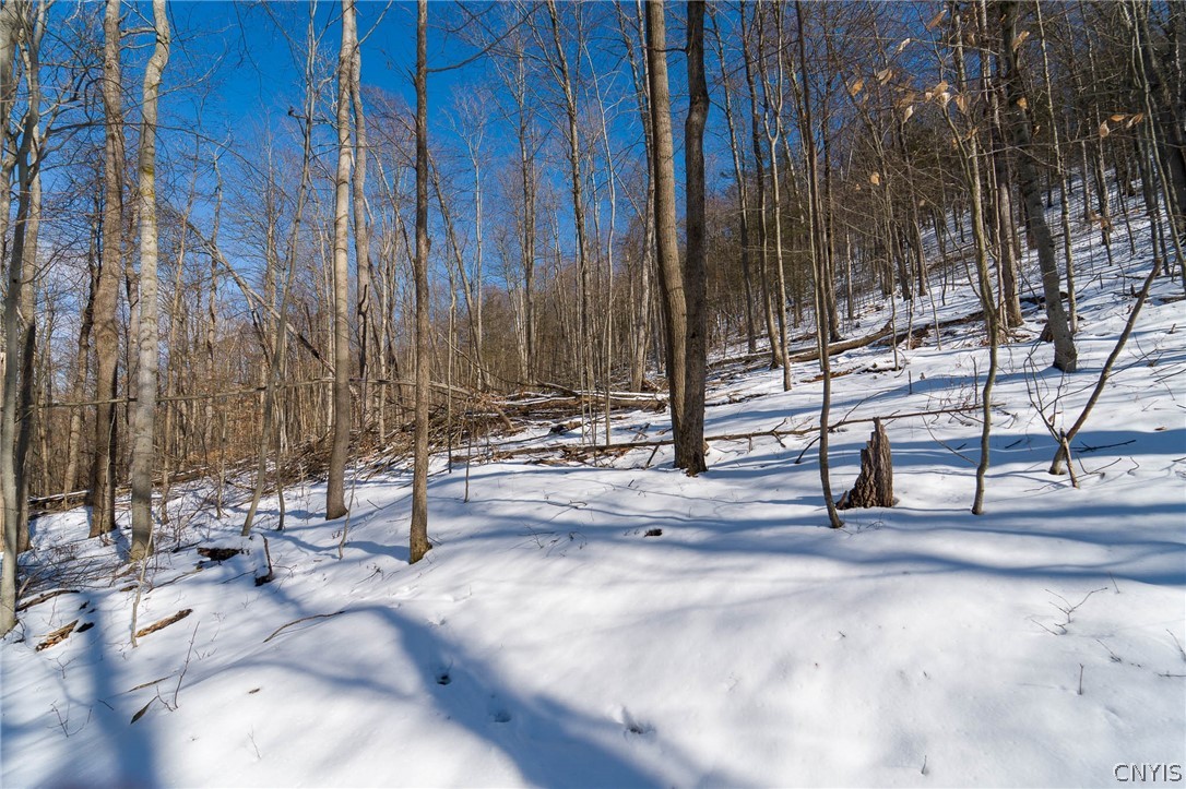414 Nys Route Beaver Dams, NY 14812 - Photo 23 of 33