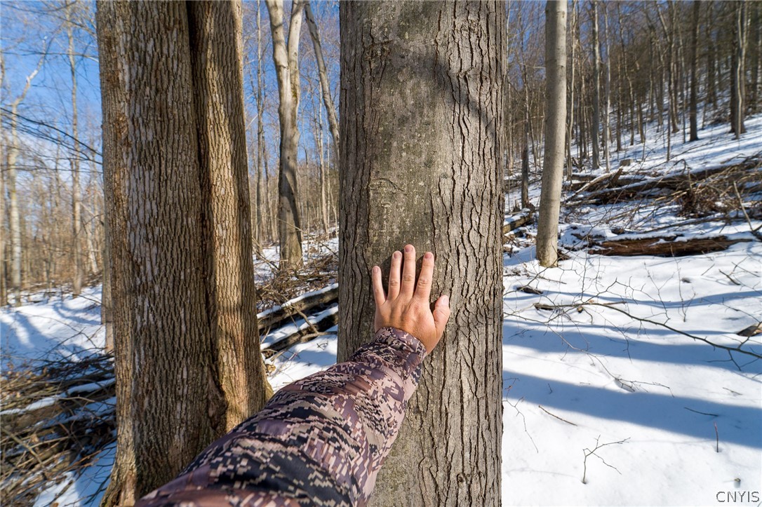 414 Nys Route Beaver Dams, NY 14812 - Photo 24 of 33