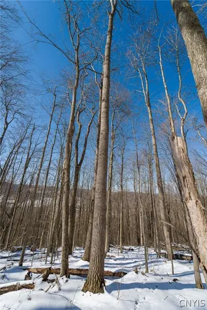$178,900 | 414 Nys Route, Beaver Dams, NY 14812