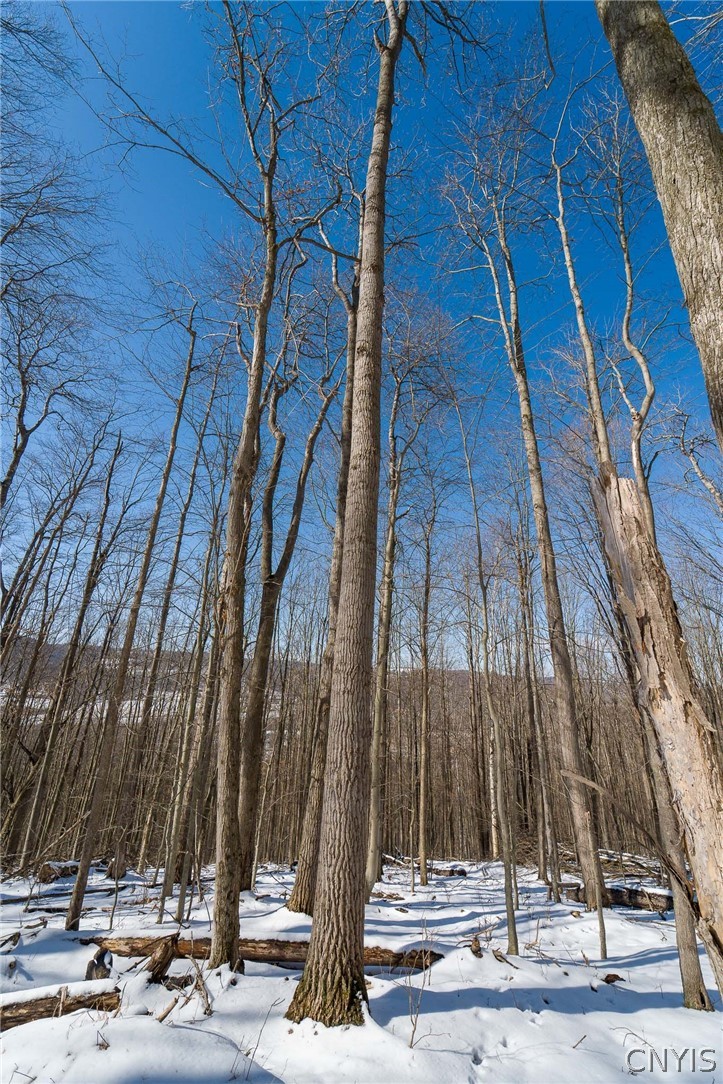 414 Nys Route Beaver Dams, NY 14812 - Photo 25 of 33