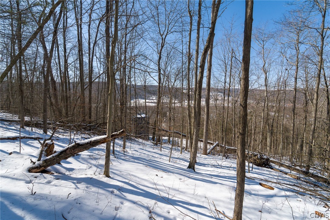 414 Nys Route Beaver Dams, NY 14812 - Photo 26 of 33