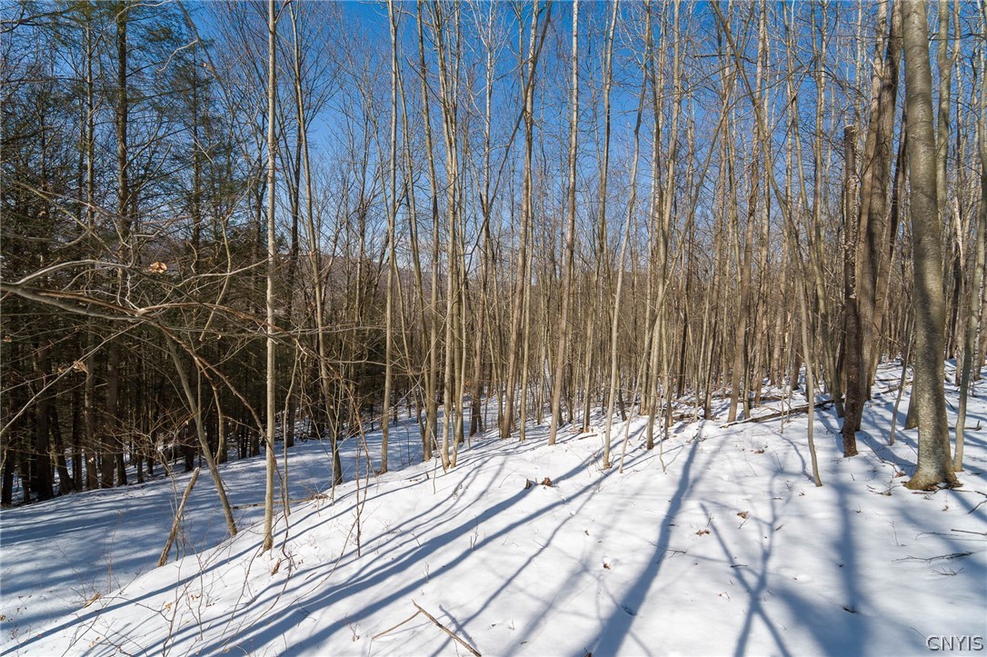 414 Nys Route Beaver Dams, NY 14812 - Photo 28 of 33