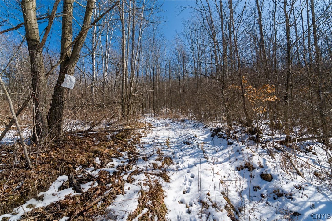 414 Nys Route Beaver Dams, NY 14812 - Photo 29 of 33