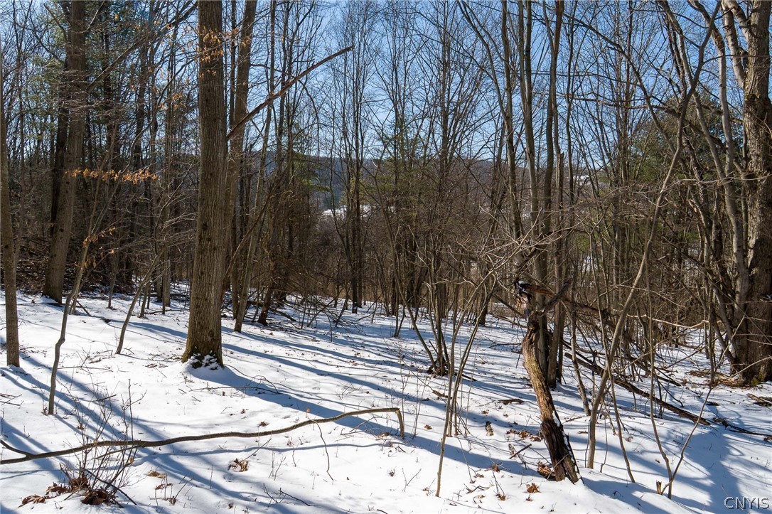 414 Nys Route Beaver Dams, NY 14812 - Photo 31 of 33