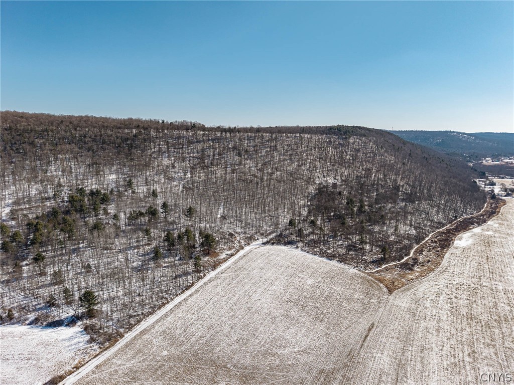 414 Nys Route Beaver Dams, NY 14812 - Photo 6 of 33