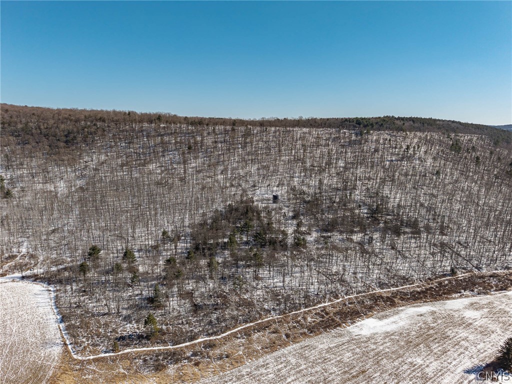 414 Nys Route Beaver Dams, NY 14812 - Photo 7 of 33