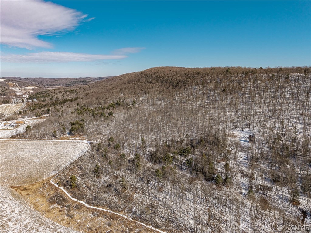 414 Nys Route Beaver Dams, NY 14812 - Photo 8 of 33