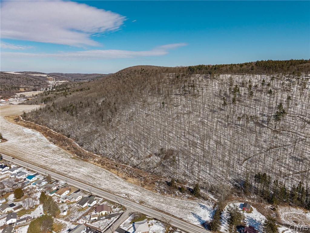 414 Nys Route Beaver Dams, NY 14812 - Photo 9 of 33